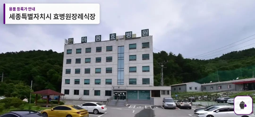 세종특별자치시 효병원장례식장 대표 사진 1